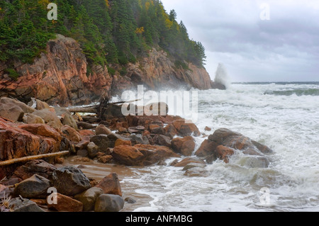 Atlantischen Ozean Sturmwellen abstürzen auf Black Brook Beach, Herbst, im Cape Breton Highlands National Park, Nova Scotia, Kanada. Stockfoto