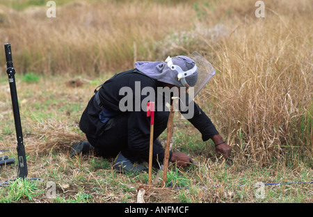 Mosambikanischen Landminenentsorgungsexperte mit dem Halo Trust auf der Suche nach Landminen, nach dem Ende des Bürgerkrieges. Zambezia, Mosambik Stockfoto