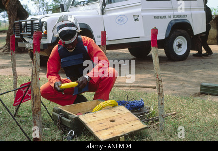 Mosambikanische landmine Entsorgung Experte bereitet eine Gebühr für eine kontrollierte Sprengung in ein Minenfeld, post-Bürgerkrieg in ländlichen Zambezia, Mosambik Stockfoto