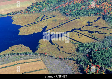 Feuchtbiotop, Ducks Unlimited Arbeit, Ost Prince-Edward-Insel, Kanada. Stockfoto