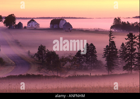 Bauernhof im Morgennebel, Clyde River, Prince Edward Island, Kanada. Stockfoto