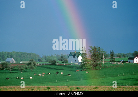 Regenbogen über Bauernhof, St. Catherines, Prince Edward Island, Kanada. Stockfoto