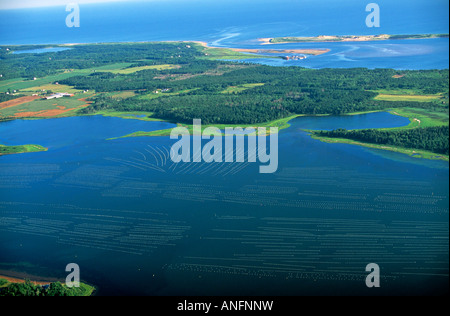 Luftbild der Austernbänke, Tracadie, Prince Edward Island, Kanada. Stockfoto