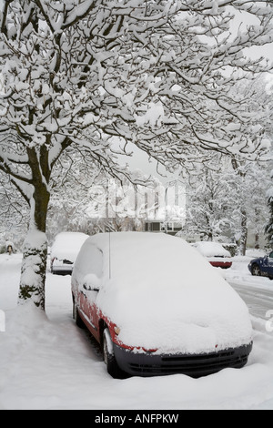 Autos, Bäume und Straße nach einer frühen Winter Schneesturm, Point Grey, Vancouver, Britisch-Kolumbien, Kanada Schnee bedeckt. Stockfoto
