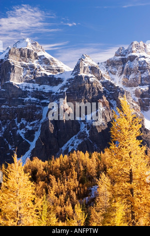 Lärchen und Berge in der Nähe von Moraine Lake, Alberta, Kanada. Stockfoto