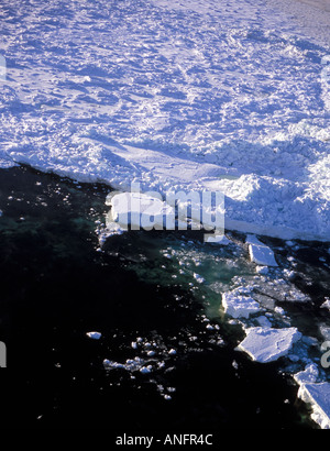 Schmelzen der Eisdecke, Hudson Bay, Pfannkuchen-Eis, Wapusk-Nationalpark, Manitoba, Kanada Stockfoto