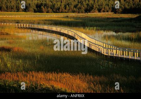 Dämmerung, Bowley Teich, Greenwich Dünen, Kings County, Prince Edward Island National Park, Kanada. Stockfoto