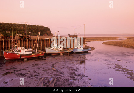 Angelboote/Fischerboote gefesselt Alma Wharf bei Ebbe in der Bucht von Fundy, New Brunswick, Kanada. Stockfoto