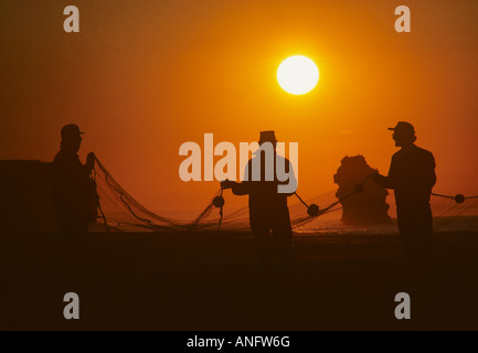 Gaspereau Fischer im Sonnenuntergang, Cousine Ufer Strand, Prince Edward Island, Kanada. Stockfoto