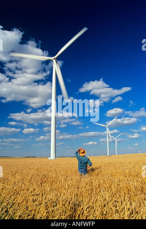 Mann im Frühjahr Weizen Feld Anzeige wind Turbinen, in der Nähe von St. Leon, Manitoba, Kanada. Stockfoto