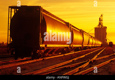 Sonnenaufgang, im Landesinneren Getreide Terminal, Morris, Manitoba, Kanada. Stockfoto