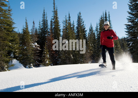 Frau mittleren Alters Schneeschuhwandern in der Nachmittagssonne, Sun Peaks Resort, Britisch-Kolumbien, Kanada. Stockfoto