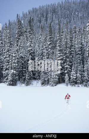 junge Frau Schneeschuhwandern in Kananaskis Country, Alberta, Kanada. Stockfoto