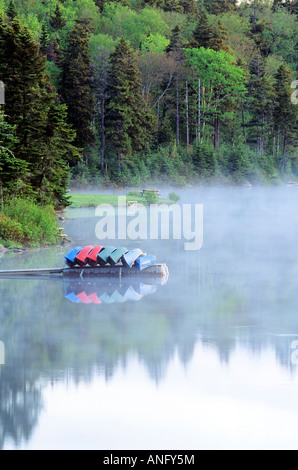 Kanus im Nebel auf Bennett Lake, Fundy National Park, New Brunswick, Kanada. Stockfoto