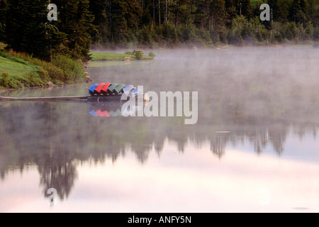 Kanus im Nebel auf Bennett Lake, Fundy National Park, New Brunswick, Kanada. Stockfoto