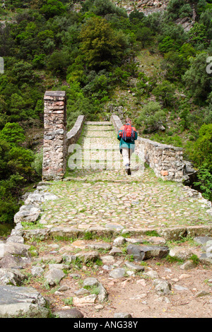 Ponte Vecchiu Brücke über den Fluss Spelunca, Corsica Stockfoto