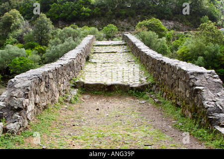 Ponte Vecchiu Brücke über den Fluss Spelunca, Corsica Stockfoto