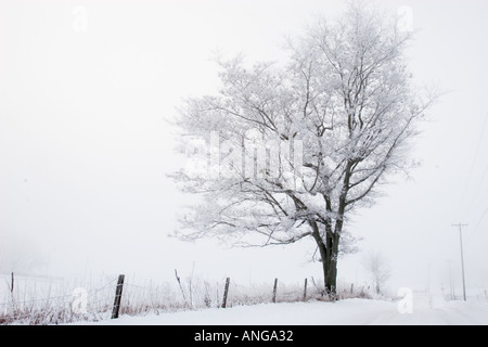 Indiana-Winter Stockfoto