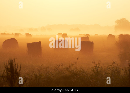 Heuballen im Nebel bei Sonnenaufgang in der Norfolk-Landschaft Stockfoto