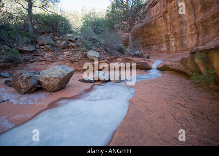 Gefrorenen Bach führt durch den Canyon aus Schnebly Hill Road Sedona Arizona Stockfoto