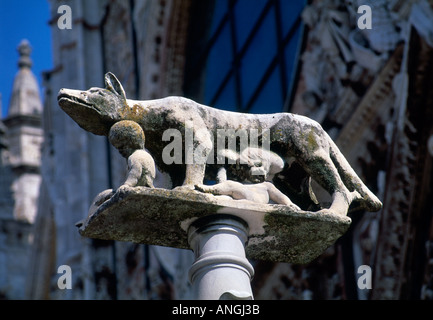 Romulus und Remus mit Wolf-Statue in Siena Stockfoto