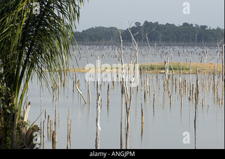 Die Brokopondo-Stausee im Inneren des Suriname von Maroon Dorfes Lebidoti gesehen. Stockfoto