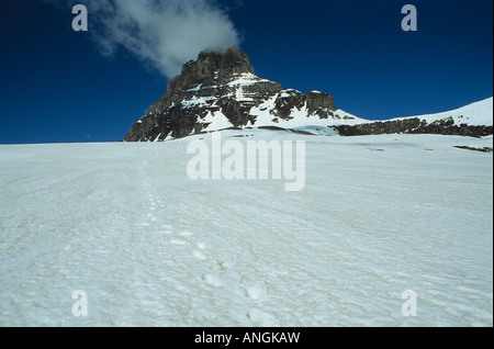 Mt. Clements und Schneefeld im zeitigen Frühjahr, Logan Pass, Glacier National Park, Montana USA Stockfoto