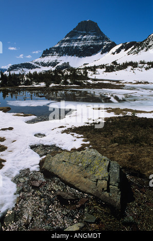 Mt Reynolds Logan Pass Frühjahr Glacier Nationalpark Montana USA Stockfoto