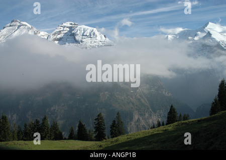 Mtns Altels Balmhorn Klein Doldenhorn Kandersteg Kander Talebene Berner Oberland Schweizer Alpen der Schweiz Stockfoto