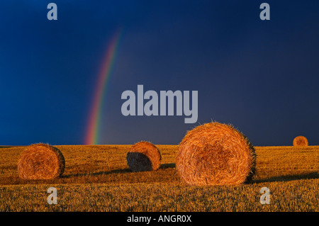 Regenbogen, und Ballen nach Prairie Sturm bei Sonnenuntergang in der Nähe von Cypress River in Manitoba, Kanada. Stockfoto