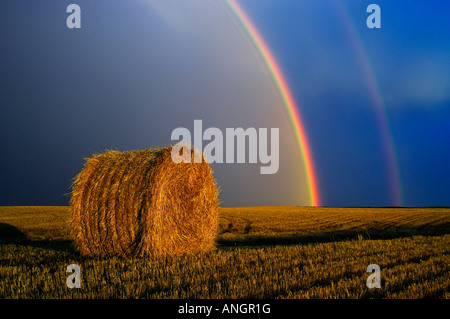 Regenbogen, und Ballen nach Prairie Sturm bei Sonnenuntergang in der Nähe von Cypress River in Manitoba, Kanada. Stockfoto