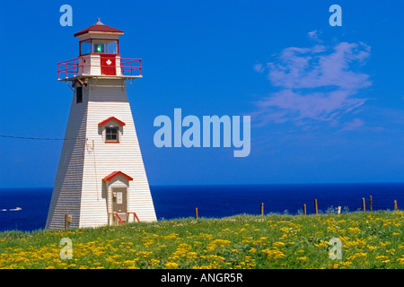 Leuchtturm an der Atlantikküste, Cape Tryon, Prince Edward Island, Kanada. Stockfoto