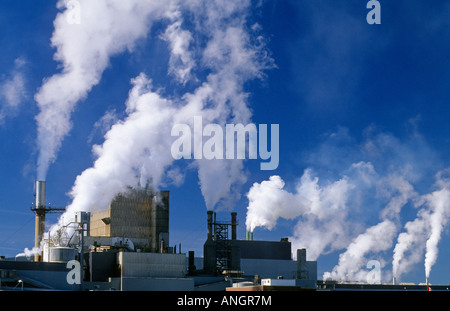 Luftverschmutzung aus Zellstoff- und Papierfabrik, Dryden, Ontario, Kanada. Stockfoto