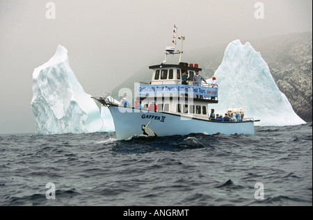 Whale watching Boot und Eisberg vor Witless Bay Ecological Reserve, Neufundland, Kanada. Stockfoto