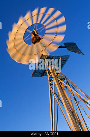 Windmühle, Western Australia, Australien Stockfoto