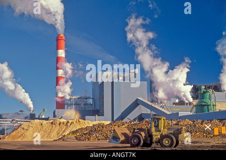 Zellstoff-Fabrik in Thunder Bay, Ontario, Kanada. Stockfoto