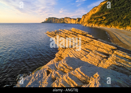 Kalksteinfelsen mit Blick auf den St.-Lorenz-Golf an der Spitze der Halbinsel Gaspé Forillon Nationalpark, Cap-Bon-Ami, Que Stockfoto