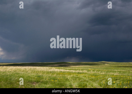 Prairie Storm. Eine schwere dunkle Regenwolke ist das Ergebnis einer heftigen Störung der Atmosphäre mit starken Winden und in der Regel ra Stockfoto