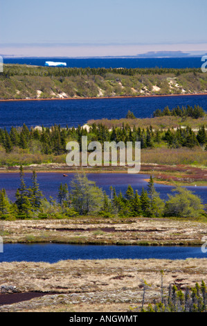 Pinware Flussmündung, Inseln und Eisberge aus entlang der Labrador Coastal Drive, Viking Trail, Strait Of Belle Isle Süden gesehen Stockfoto