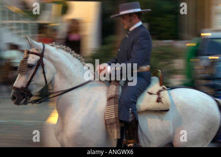 Pferde in der Feria, Torremolinos, Provinz Malaga, Andalusien, Spanien Stockfoto