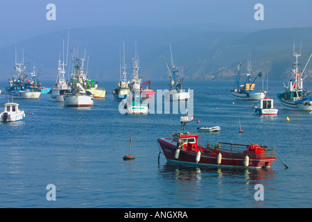 Malpica Hafen Costa Morte, La Coruna Province, Galicien, Spanien Stockfoto