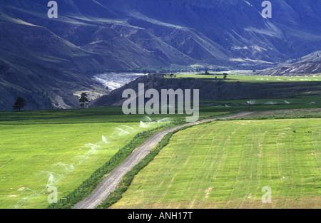 Die Landwirtschaft über den Fraser River, British Columbia, Kanada. Stockfoto