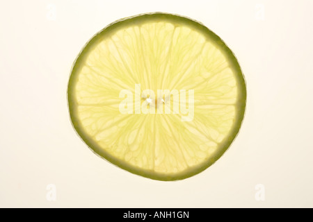 Ein Ausschnitt Schuss von einer Scheibe Limette beleuchtet vor einem weißen Hintergrund Stockfoto