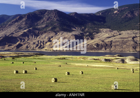 Heuballen auf Ranch in Shuswap Region, Britisch-Kolumbien, Kanada. Stockfoto