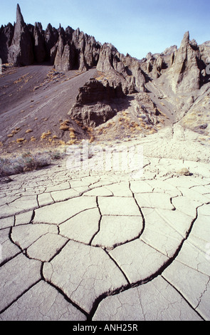 Getrockneten Schlamm Muster und Hoodoos entlang des Flusses Chilcotin, Chilcotin Region, Britisch-Kolumbien, Kanada. Stockfoto