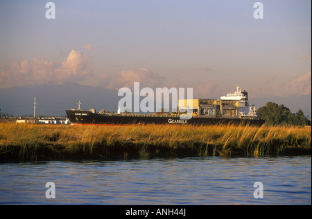 Frachter, Fraser River Delta, unteren Festland, British Columbia, Kanada. Stockfoto