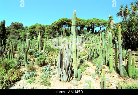 Die Ortschaften Botanischer Garten Blanes Costa Brava in Spanien Stockfoto