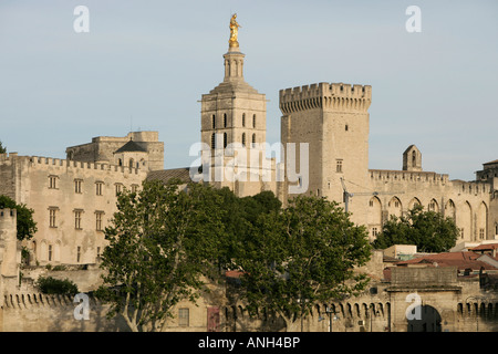 Avignon, Blick auf den Palast der Päpste der Kathedrale von Avignon und der Pont Saint-Bénezet Stockfoto