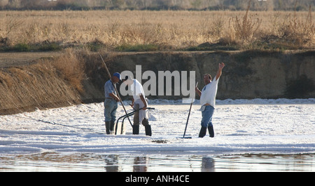 Arbeiten die Salzpfannen Portugal Stockfoto