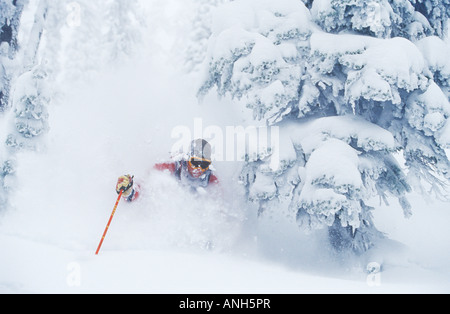 Ein Mann Skifahren Tiefschnee in Fernie Alpine Resort Backcountry, Britisch-Kolumbien, Kanada. Stockfoto